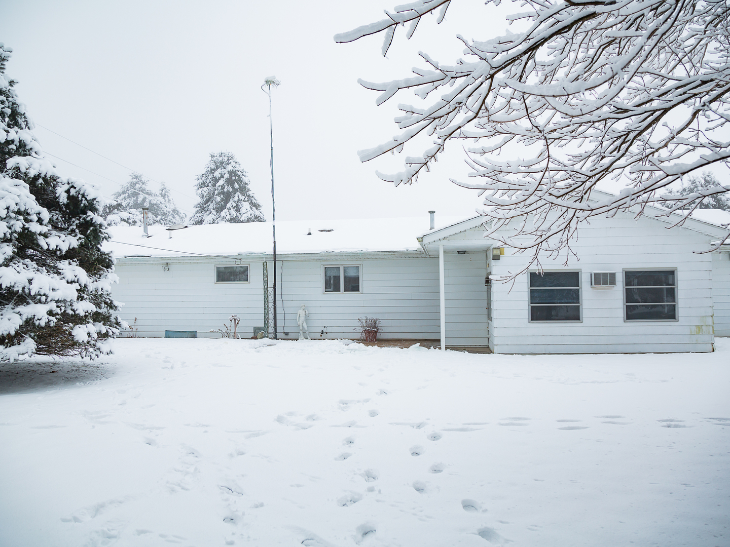 209 Kay Street Tonica, IL 61370 - Photo 40 of 40 a street view covered with snow