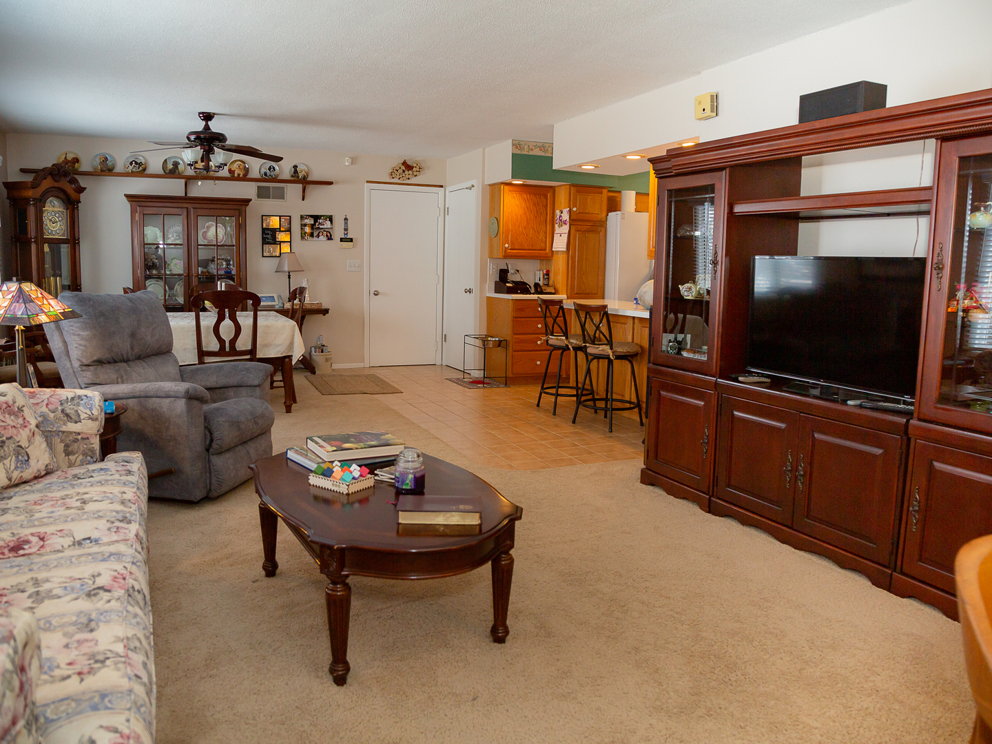 209 Kay Street Tonica, IL 61370 - Photo 8 of 40 a living room with furniture and a flat screen tv