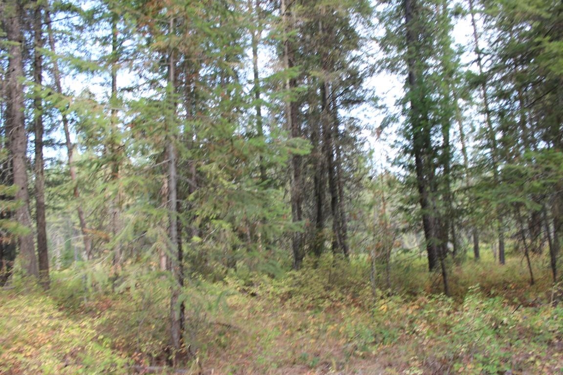 6873 Drum Road Wellpinit, WA 99040 - Photo 19 of 33 Gallery Image 19