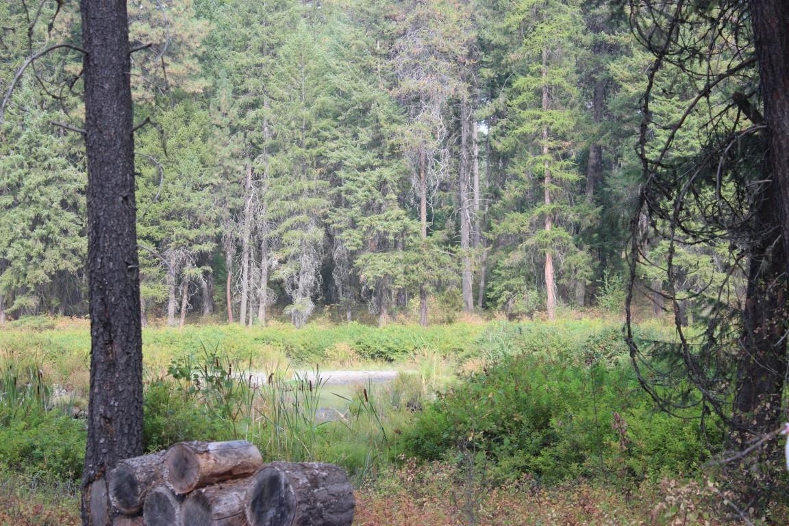 6873 Drum Road Wellpinit, WA 99040 - Photo 20 of 33 Gallery Image 20