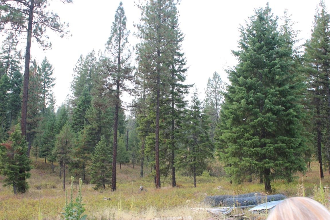 6873 Drum Road Wellpinit, WA 99040 - Photo 21 of 33 Gallery Image 21