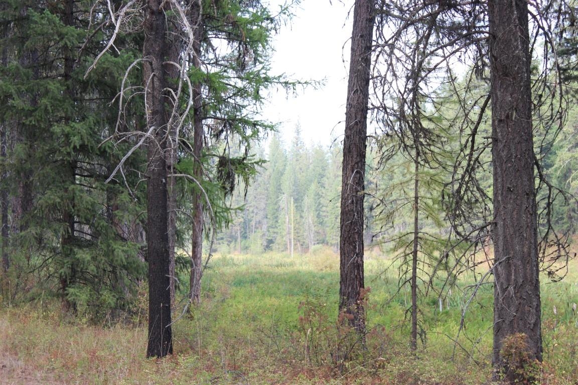 6873 Drum Road Wellpinit, WA 99040 - Photo 23 of 33 Gallery Image 23