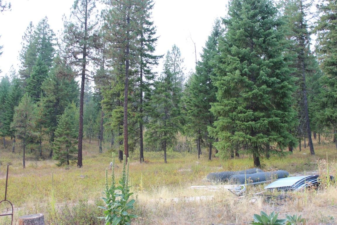 6873 Drum Road Wellpinit, WA 99040 - Photo 24 of 33 Gallery Image 24