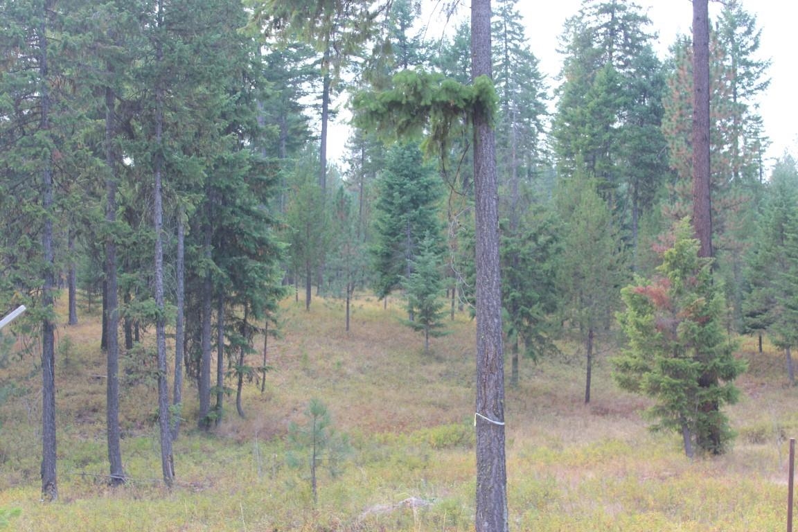 6873 Drum Road Wellpinit, WA 99040 - Photo 25 of 33 Gallery Image 25