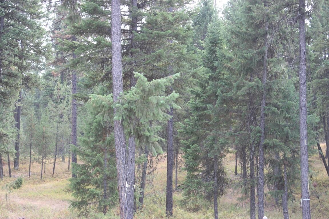 6873 Drum Road Wellpinit, WA 99040 - Photo 26 of 33 Gallery Image 26