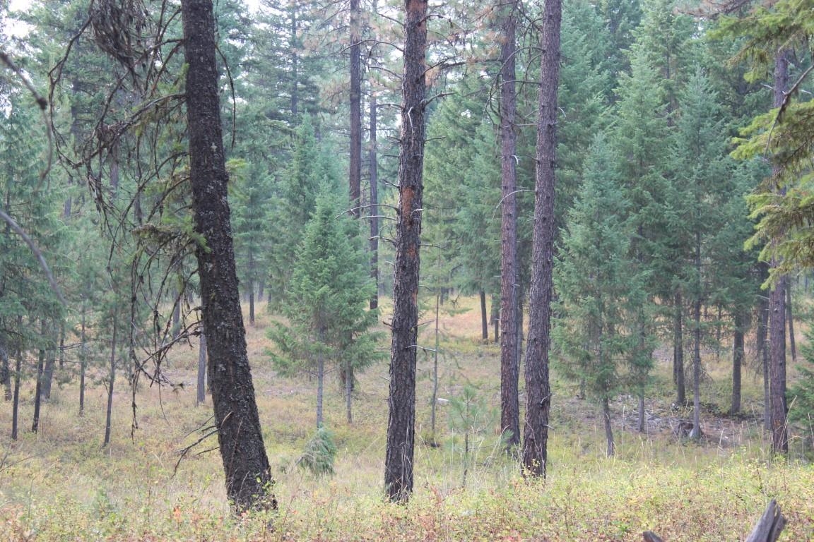 6873 Drum Road Wellpinit, WA 99040 - Photo 27 of 33 Gallery Image 27