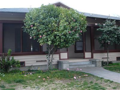 843 J Street Reedley, CA 93654 - Photo 1 of 1