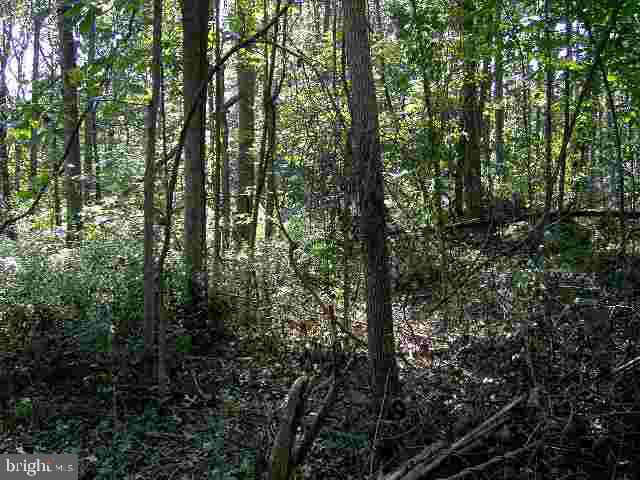 814 Locust Grove Road Middletown, PA 17057 - Photo 1 of 5 Gallery Image 1