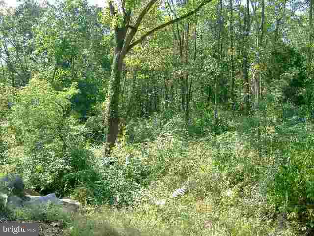 814 Locust Grove Road Middletown, PA 17057 - Photo 3 of 5 Gallery Image 3