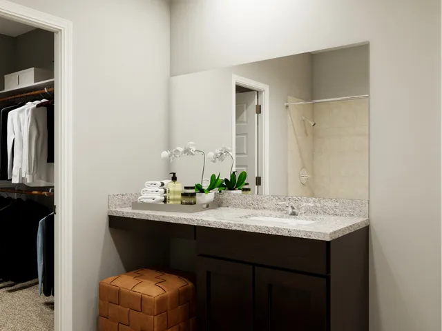 a bathroom with a granite countertop sink and a potted plant