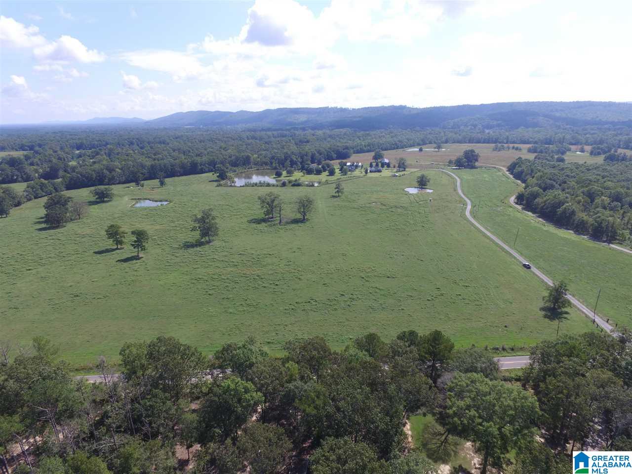 Double Bridge Road, Unit 12 Steele, AL 35987 - Photo 2 of 5