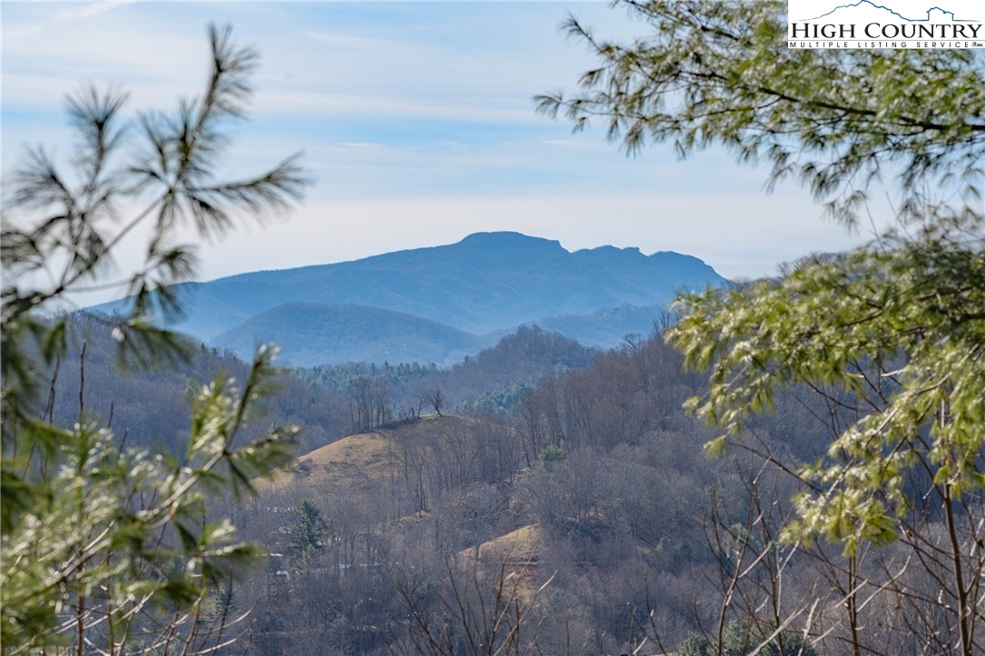 419 Billy Billings Road Vilas, NC 28692 - Photo 15 of 50 a view of a lake with a mountain in the background