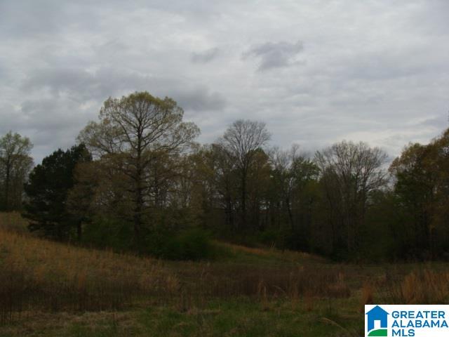 406 Caffe Ridge, Unit PARCEL Woodstock, AL 35188 - Photo 6 of 30