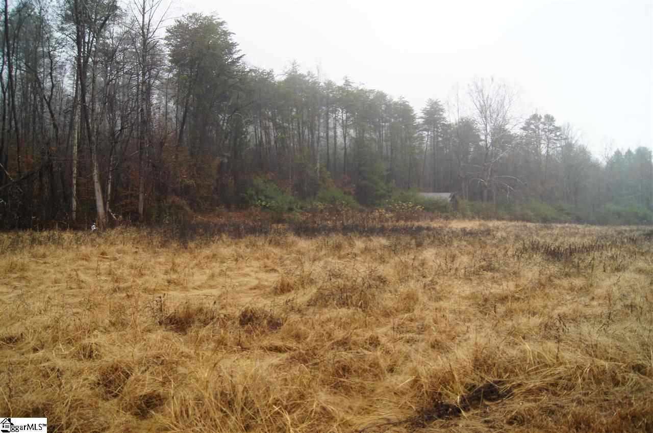 0 Meece Mill Road Pickens, SC 29671 - Photo 1 of 1