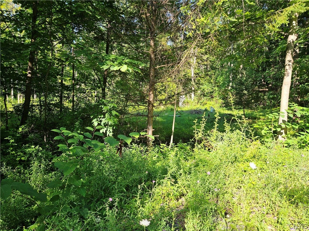 Stables Road Chittenango, NY 13037 - Photo 1 of 5 Gallery Image 1