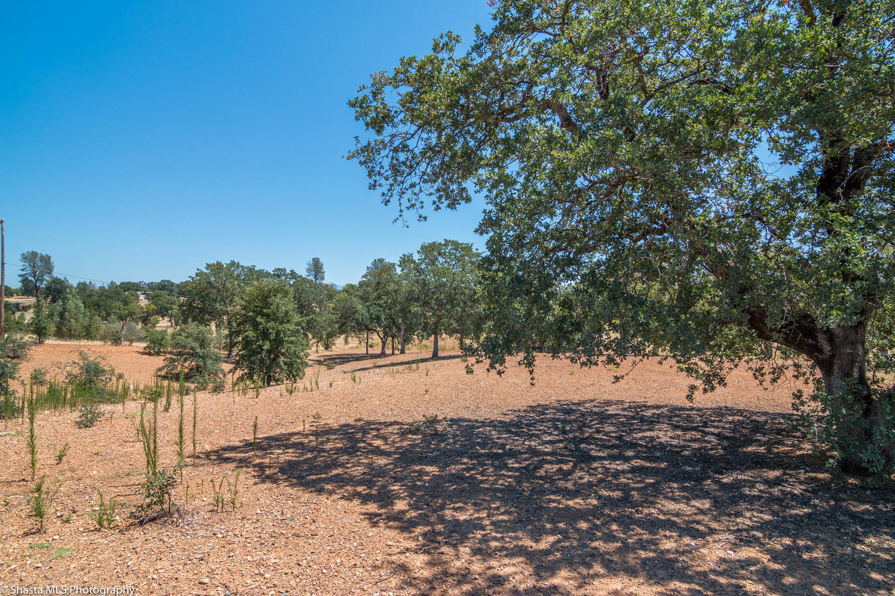 9229 Stillwater Road Redding, CA 96002 - Photo 25 of 27 Yard extending beyond fence