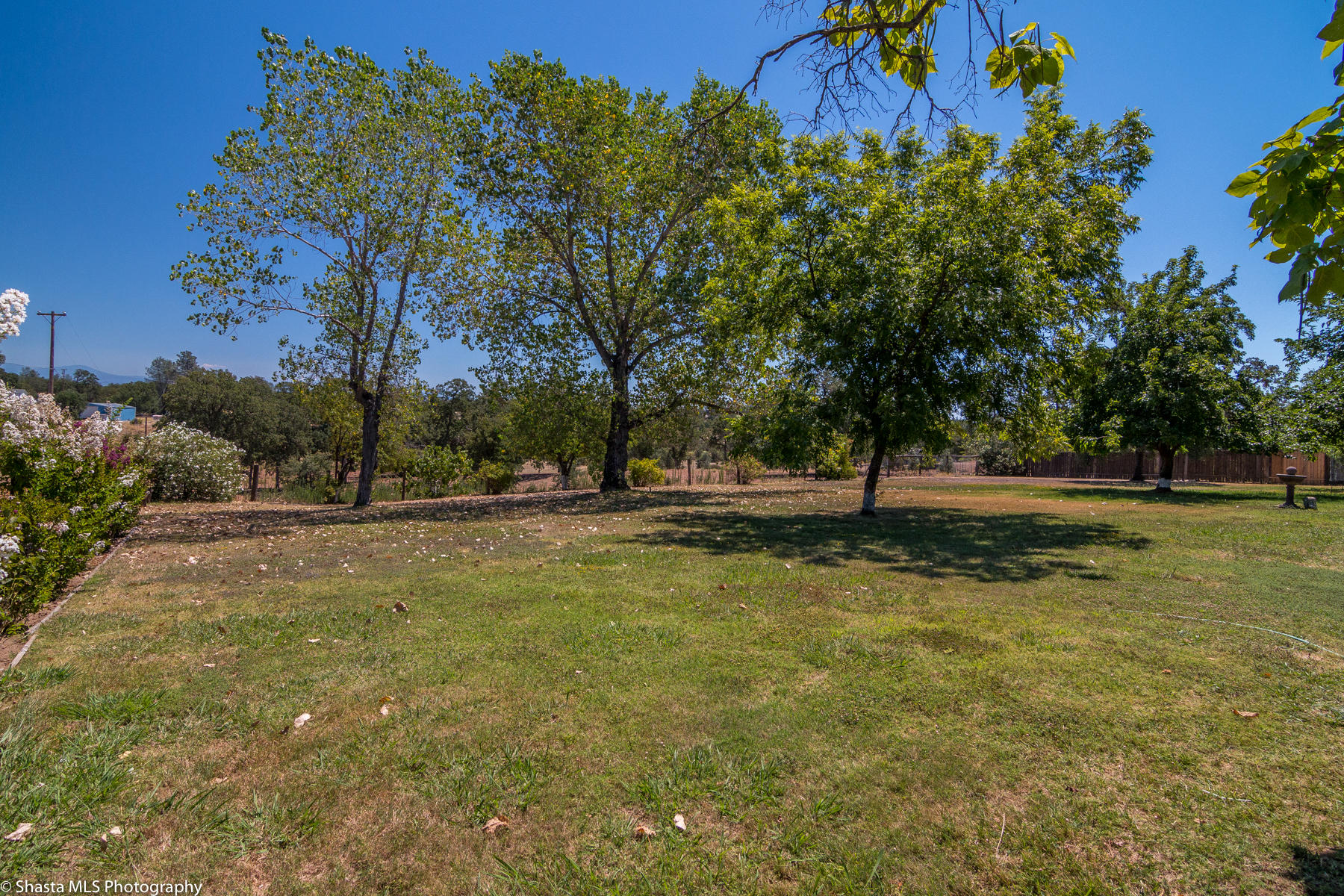 9229 Stillwater Road Redding, CA 96002 - Photo 27 of 27 IMG_5506