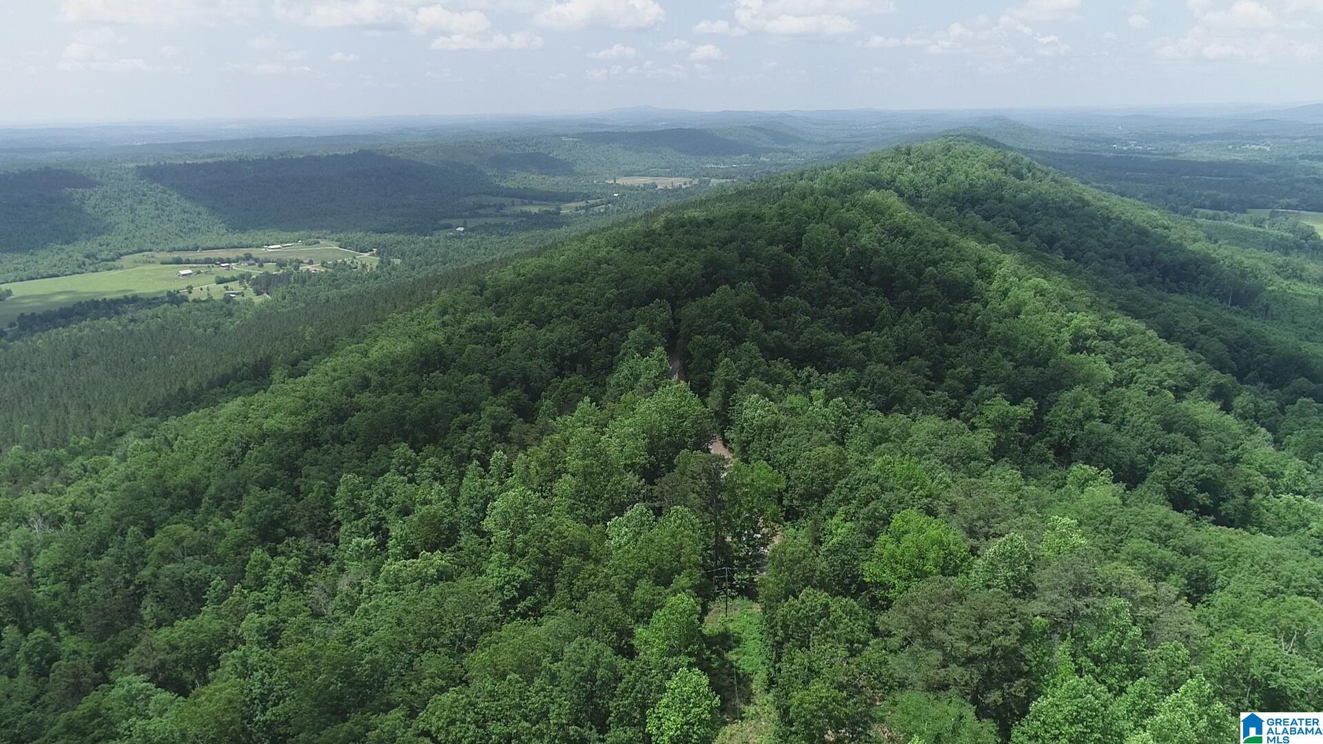 1955 Beaver Mountain Road, Unit TRACT 1 W/STUDIO HOME Ashville, AL 35953 - Photo 3 of 14