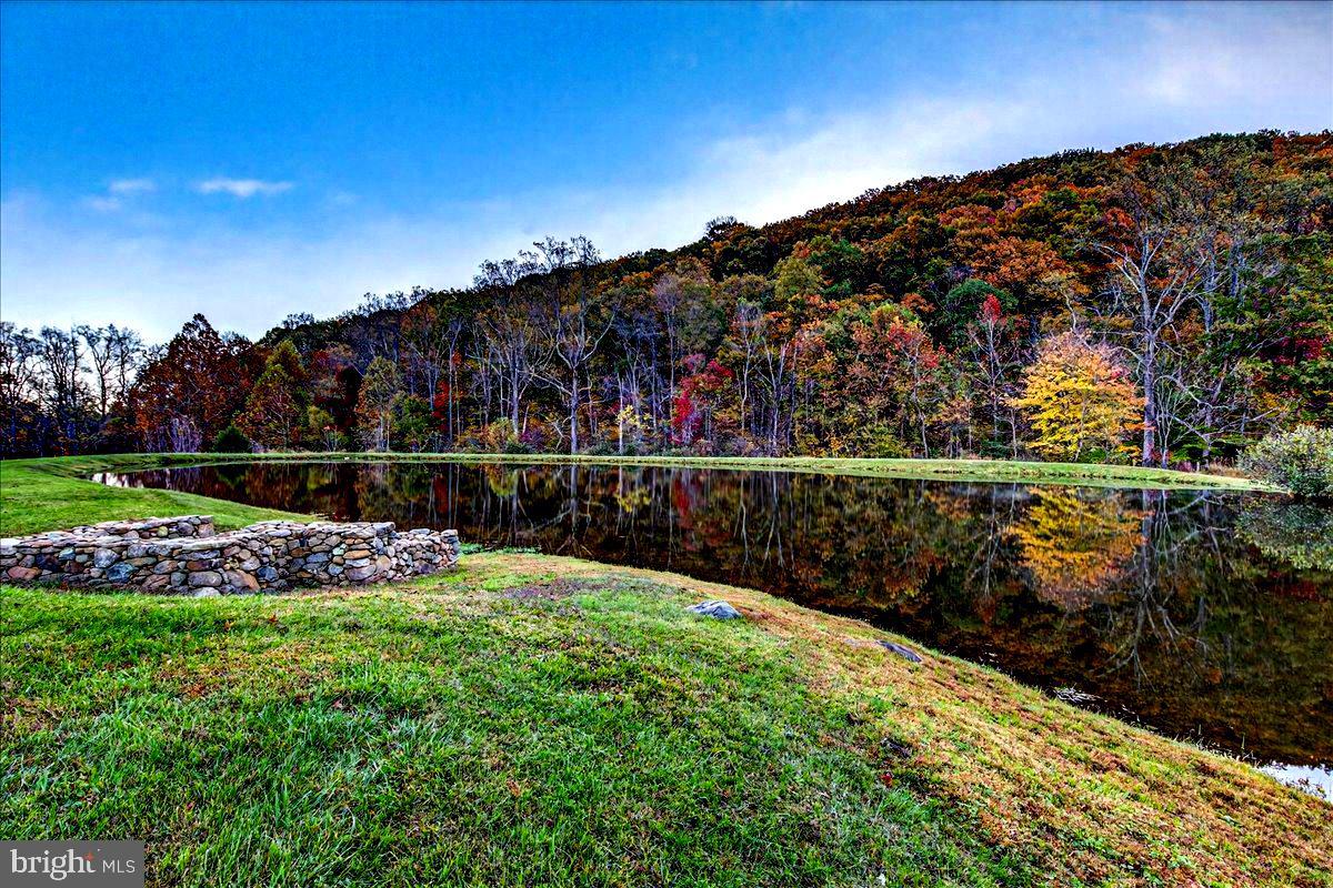 290 Riley Hollow Road Huntly, VA 22640 - Photo 19 of 148