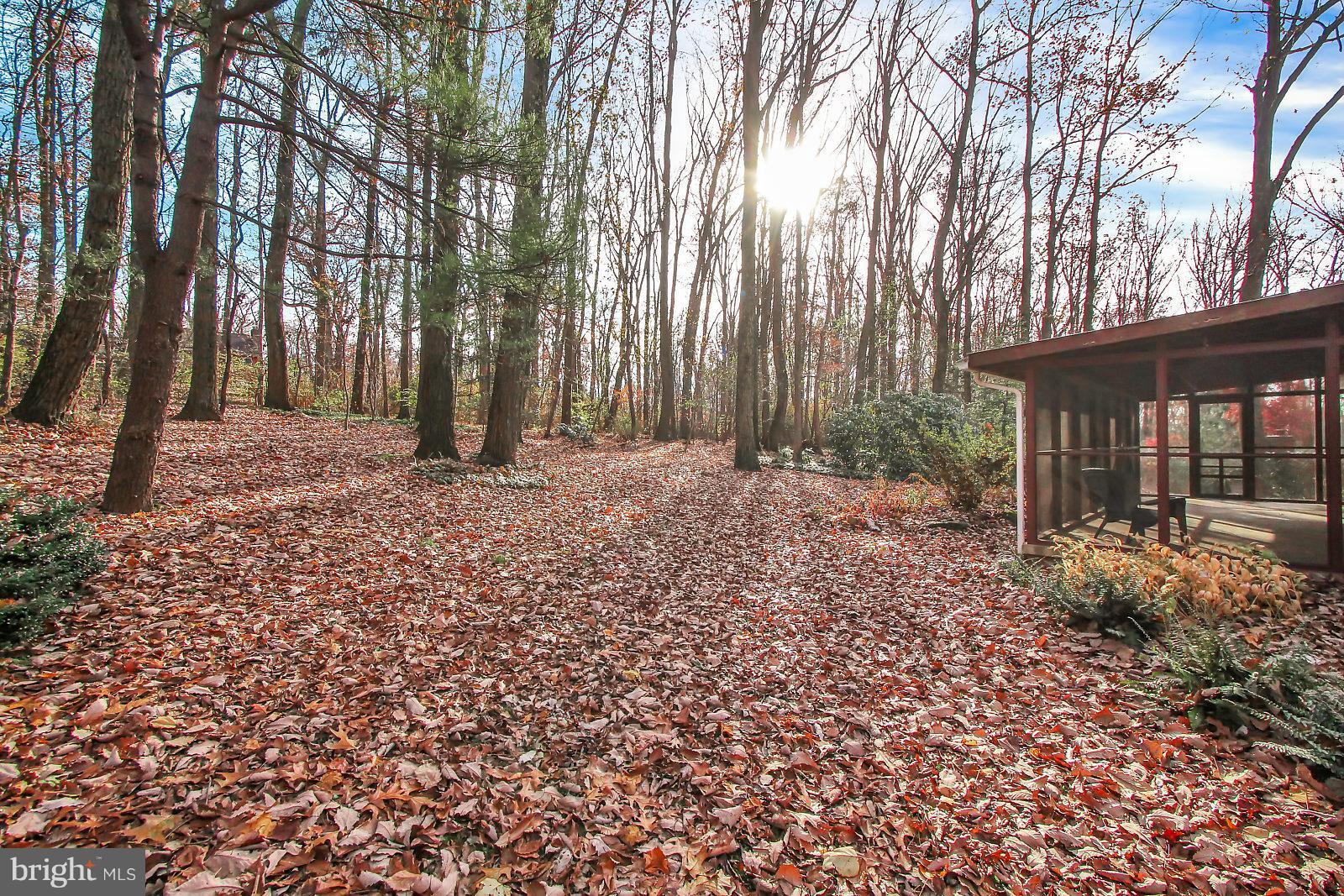 2684 Forest Road York, PA 17402 - Photo 24 of 28 Gallery Image 24