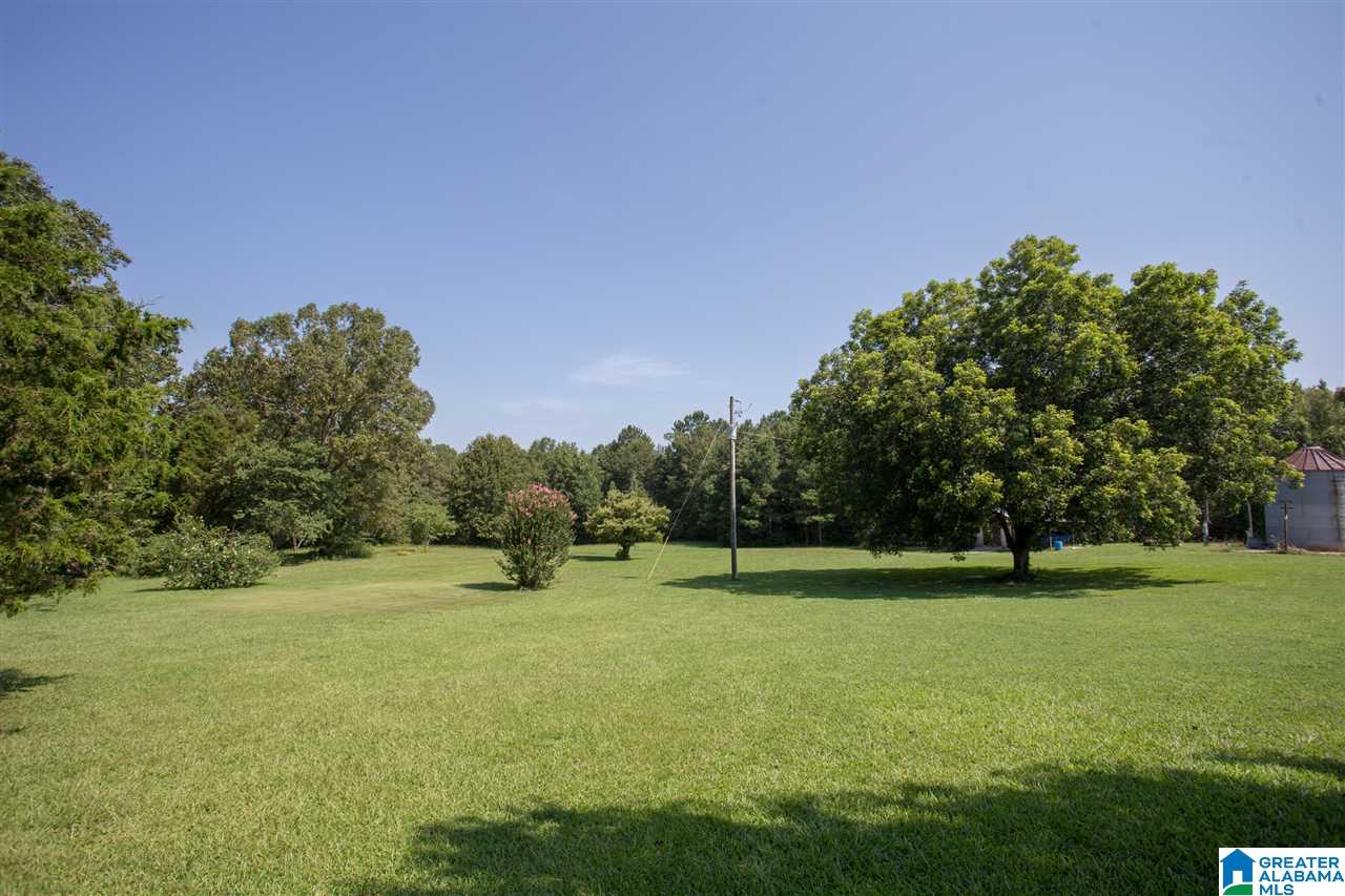 724 Jonesview Road Talladega, AL 35160 - Photo 47 of 50