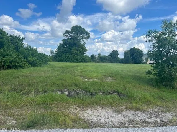 a view of a field of grass and trees