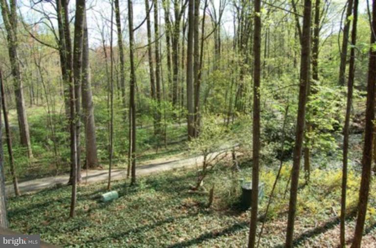 11590 Red Leaf Court Reston, VA 20191 - Photo 15 of 21 Deck - View from