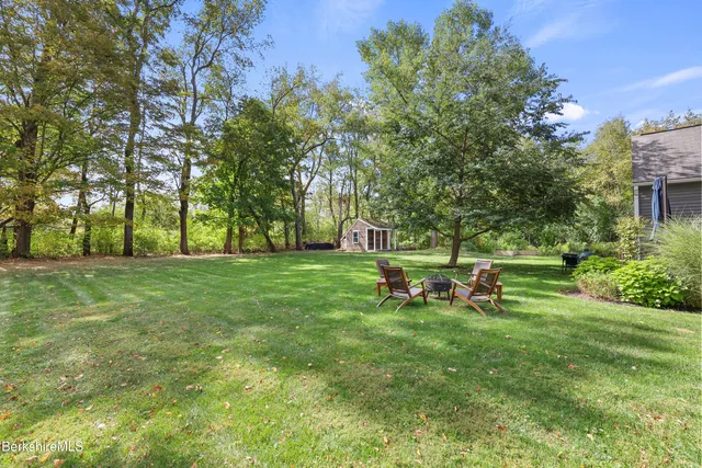 a view of a park with large trees