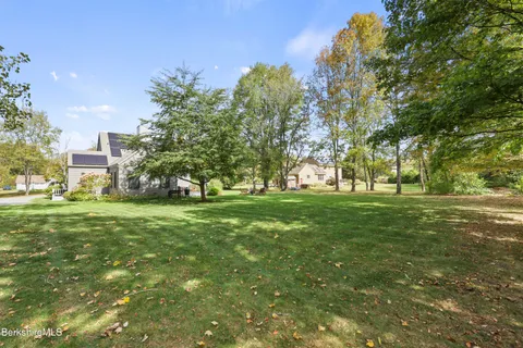 a yard with lots of trees
