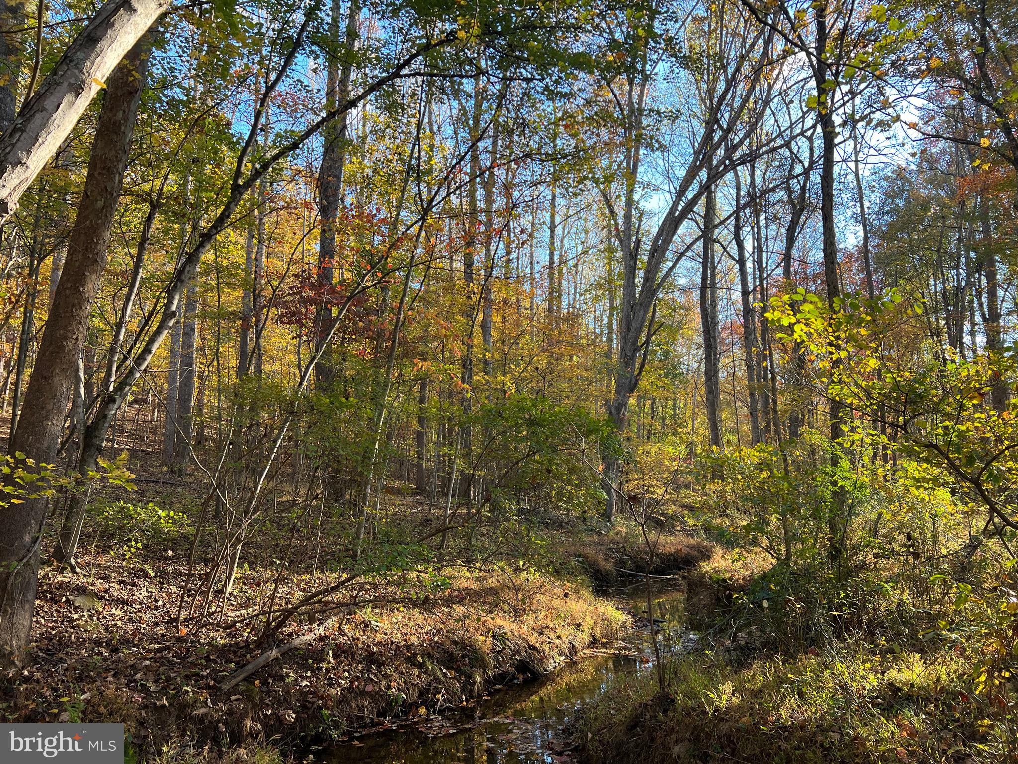 Ada Road Marshall, VA 20115 - Photo 1 of 8 a backyard of a house with lots of green space