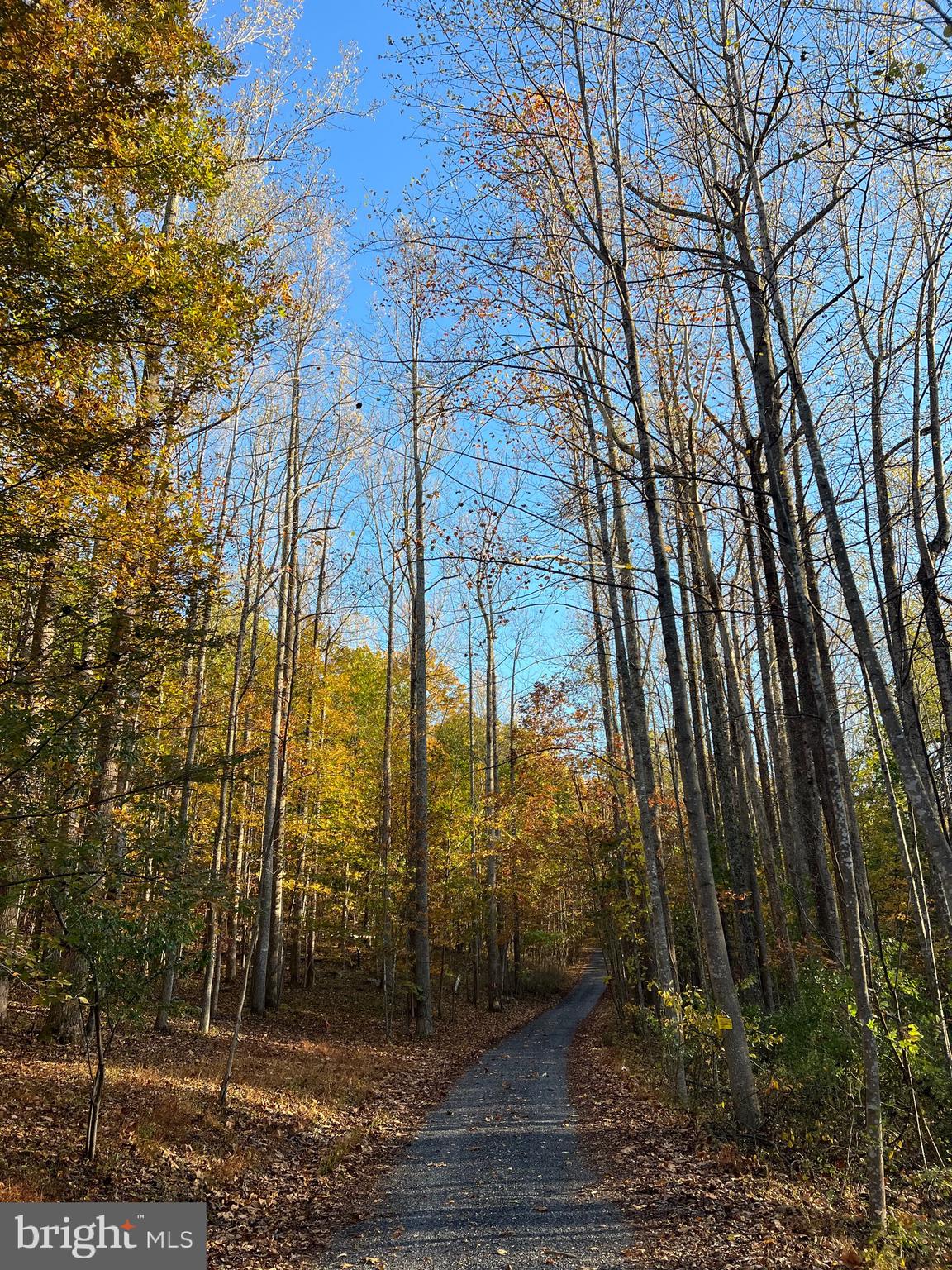 Ada Road Marshall, VA 20115 - Photo 5 of 8 a view of a city view