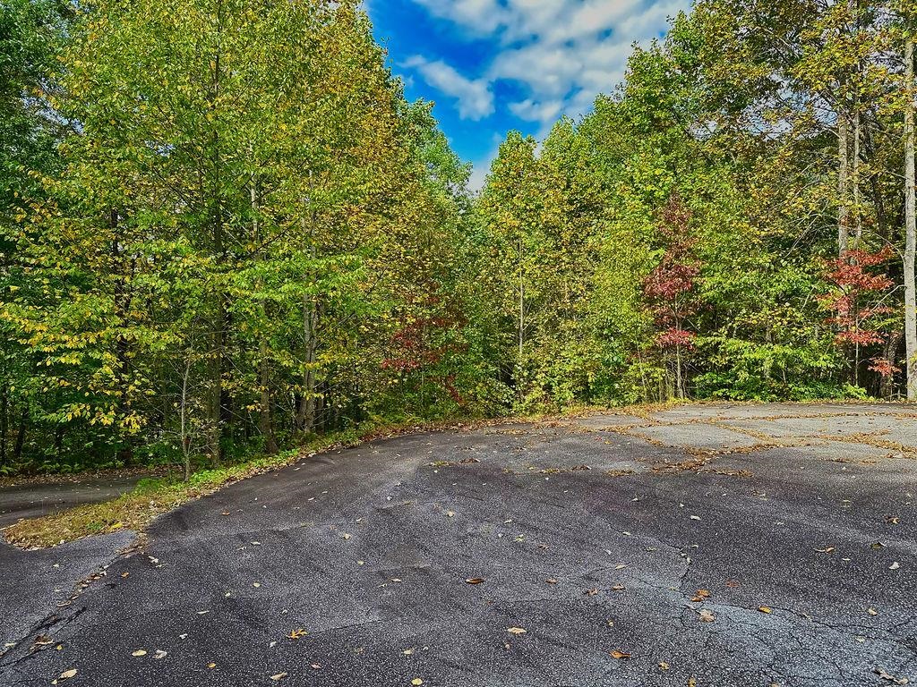 108 Sunfire Court Travelers Rest, SC 29690 - Photo 13 of 19