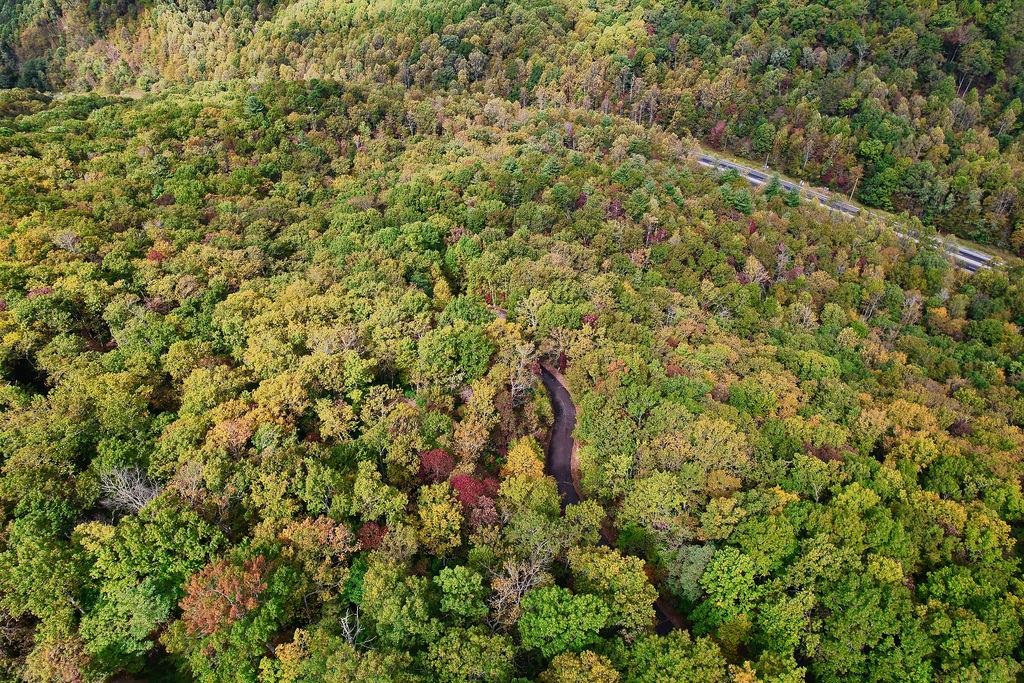 108 Sunfire Court Travelers Rest, SC 29690 - Photo 17 of 19