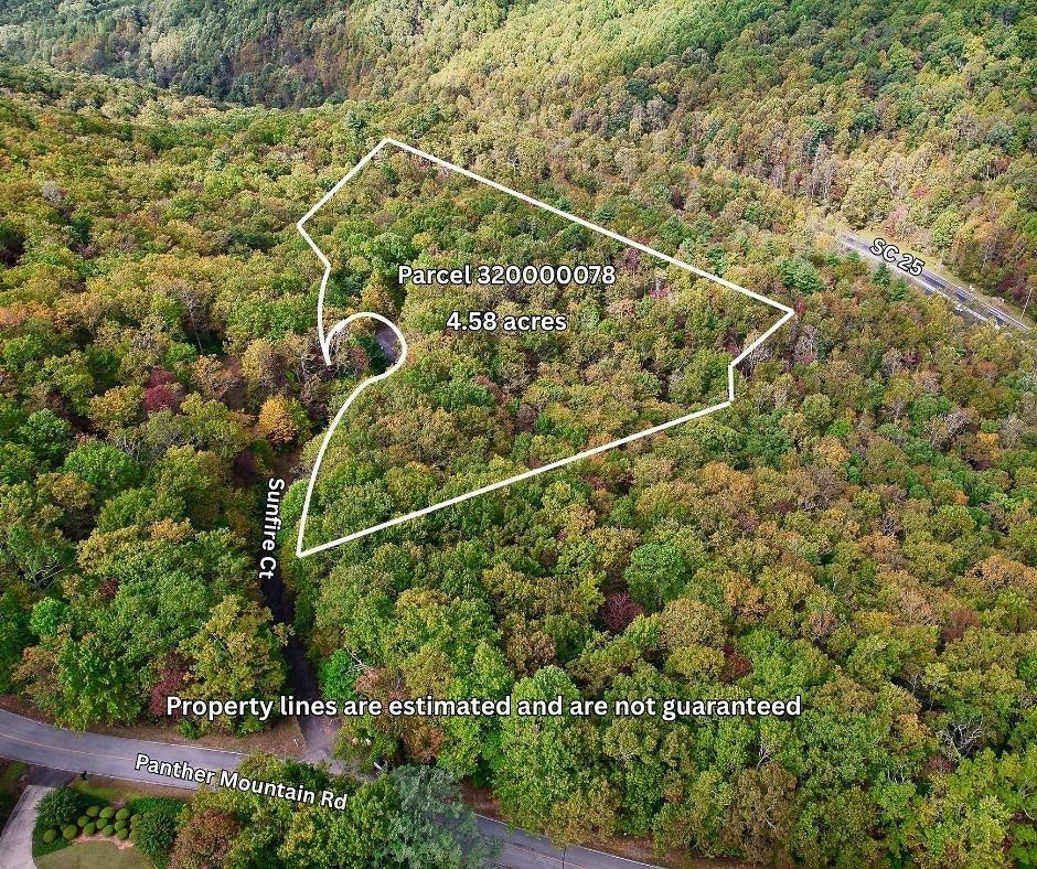 108 Sunfire Court Travelers Rest, SC 29690 - Photo 2 of 19