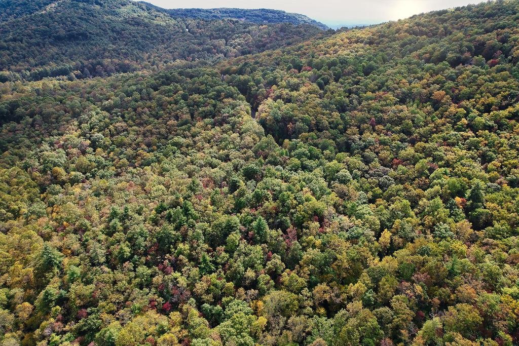 108 Sunfire Court Travelers Rest, SC 29690 - Photo 7 of 19