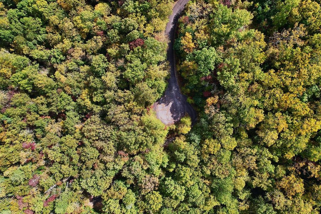 108 Sunfire Court Travelers Rest, SC 29690 - Photo 8 of 19