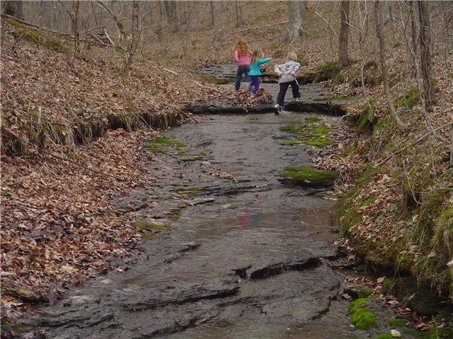 5657 Natchez Trace Road Franklin, TN 37064 - Photo 17 of 18 Trail to the creek