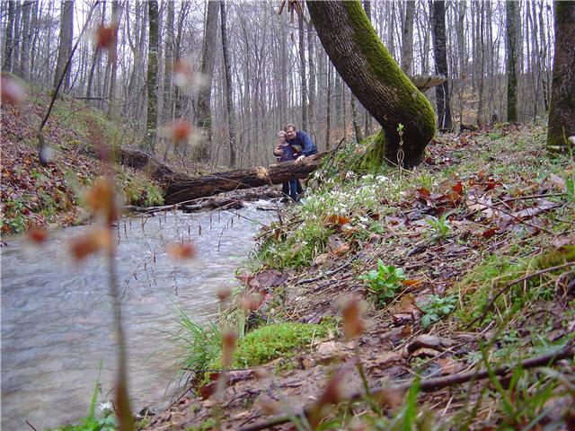 5657 Natchez Trace Road Franklin, TN 37064 - Photo 18 of 18 Creek on back of property