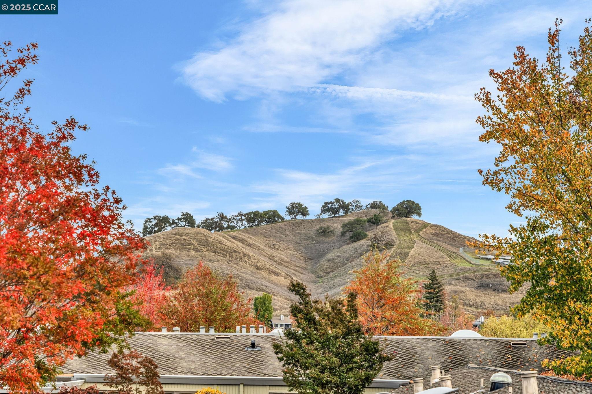 1216 Fairlawn Court, Unit 8 Walnut Creek, CA 94595 - Photo 28 of 49 a view of a city