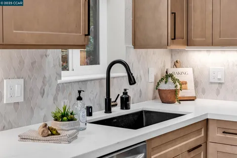 a kitchen with a sink and a potted plant