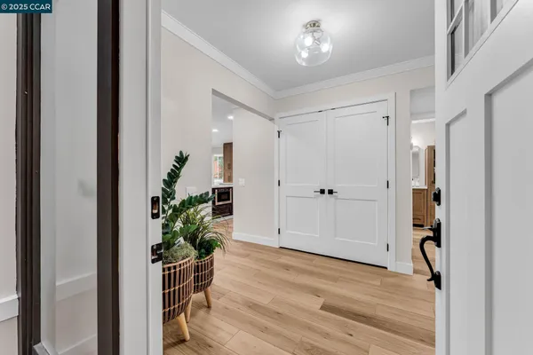 a view of a hallway with wooden floor and a potted plant
