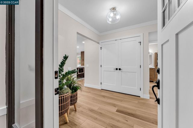 a view of a hallway with wooden floor and a potted plant