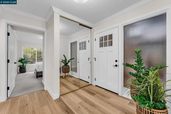 a hallway with wooden floor and a potted plant