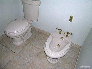 23538 Chicory Road Grosse Ile, MI 48138 - Photo 11 of 17 WITH BIDET