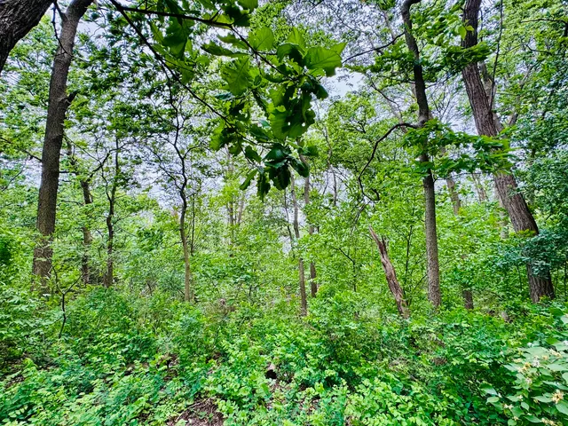 $55,000 | 26628 South Kimberly Lane, Channahon, IL 60410