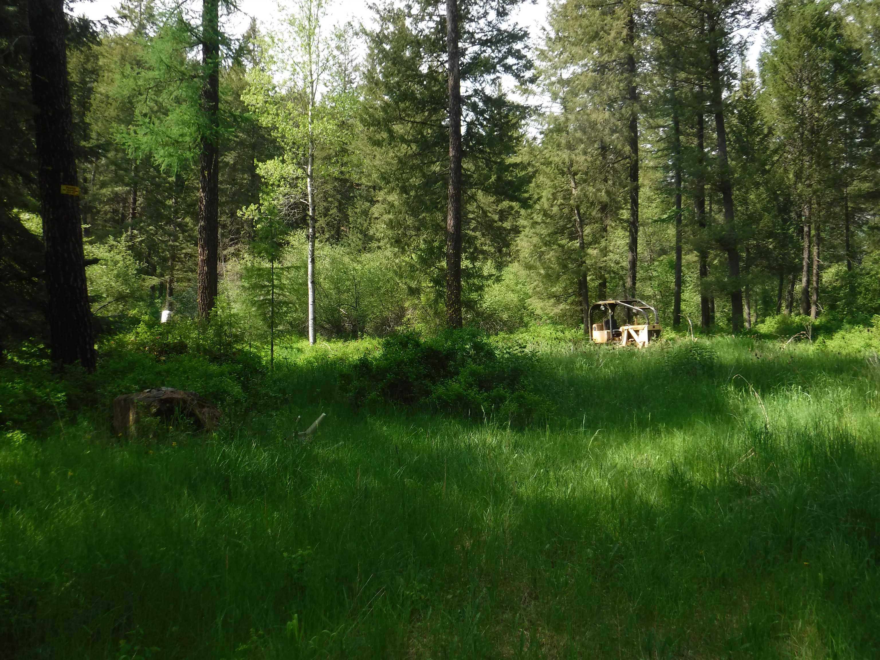 Xx East Woolard Road Colbert, WA 99005 - Photo 18 of 23