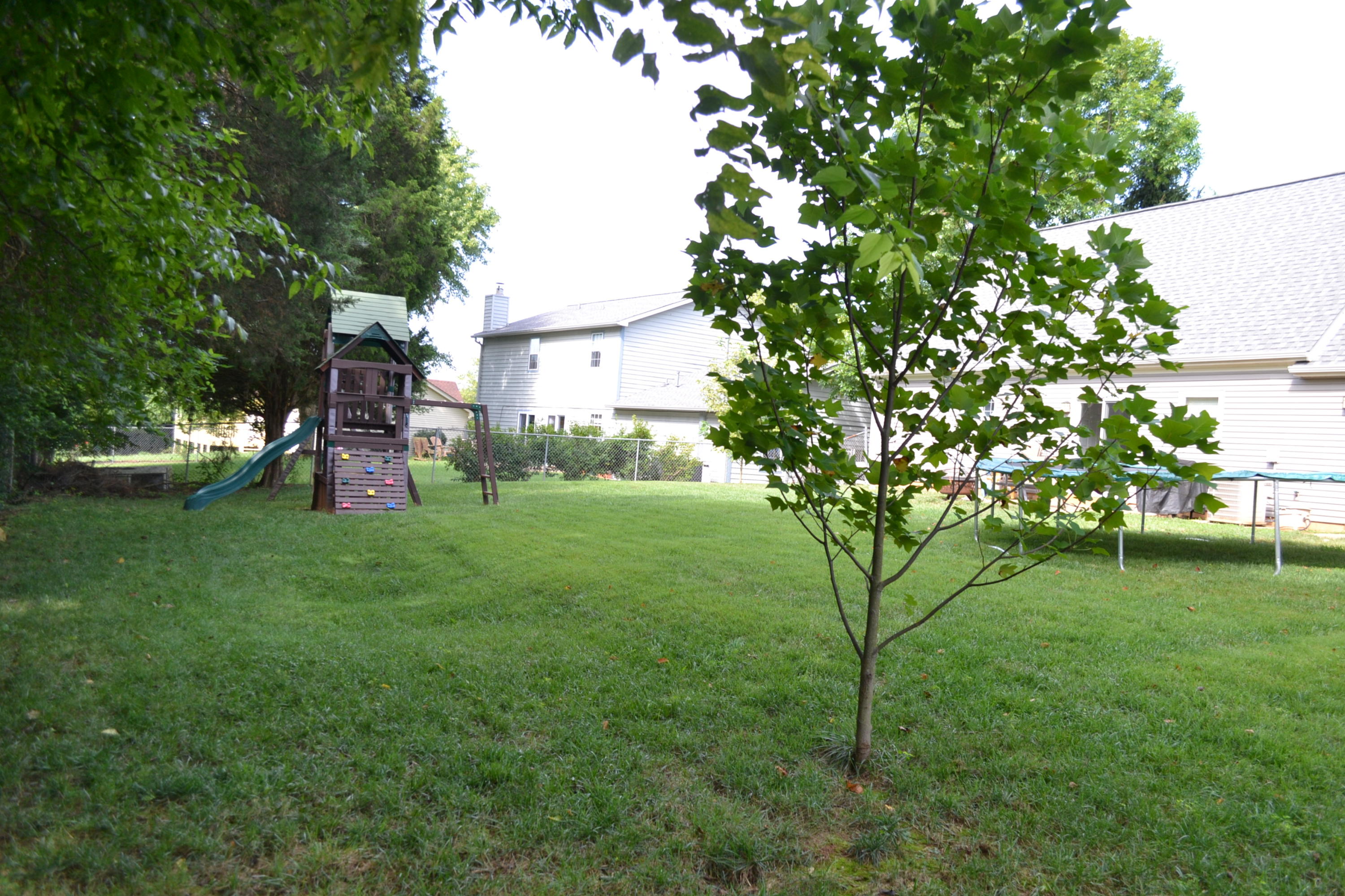 948 Pintail Road Knoxville, TN 37934 - Photo 22 of 22 Backyard