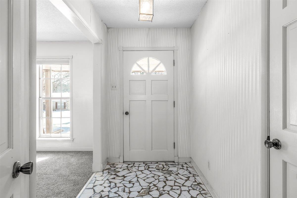 436 Sterling Drive Collierville, TN 38017 - Photo 19 of 40 Entryway with healthy amount of natural light, light carpet, and a textured ceiling
