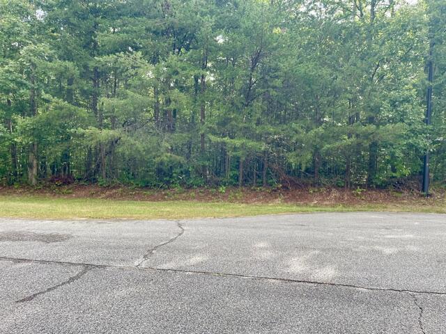 0 Stewart Lane, Unit LOT 33 Rising Fawn, GA 30738 - Photo 13 of 17 IMG_9448