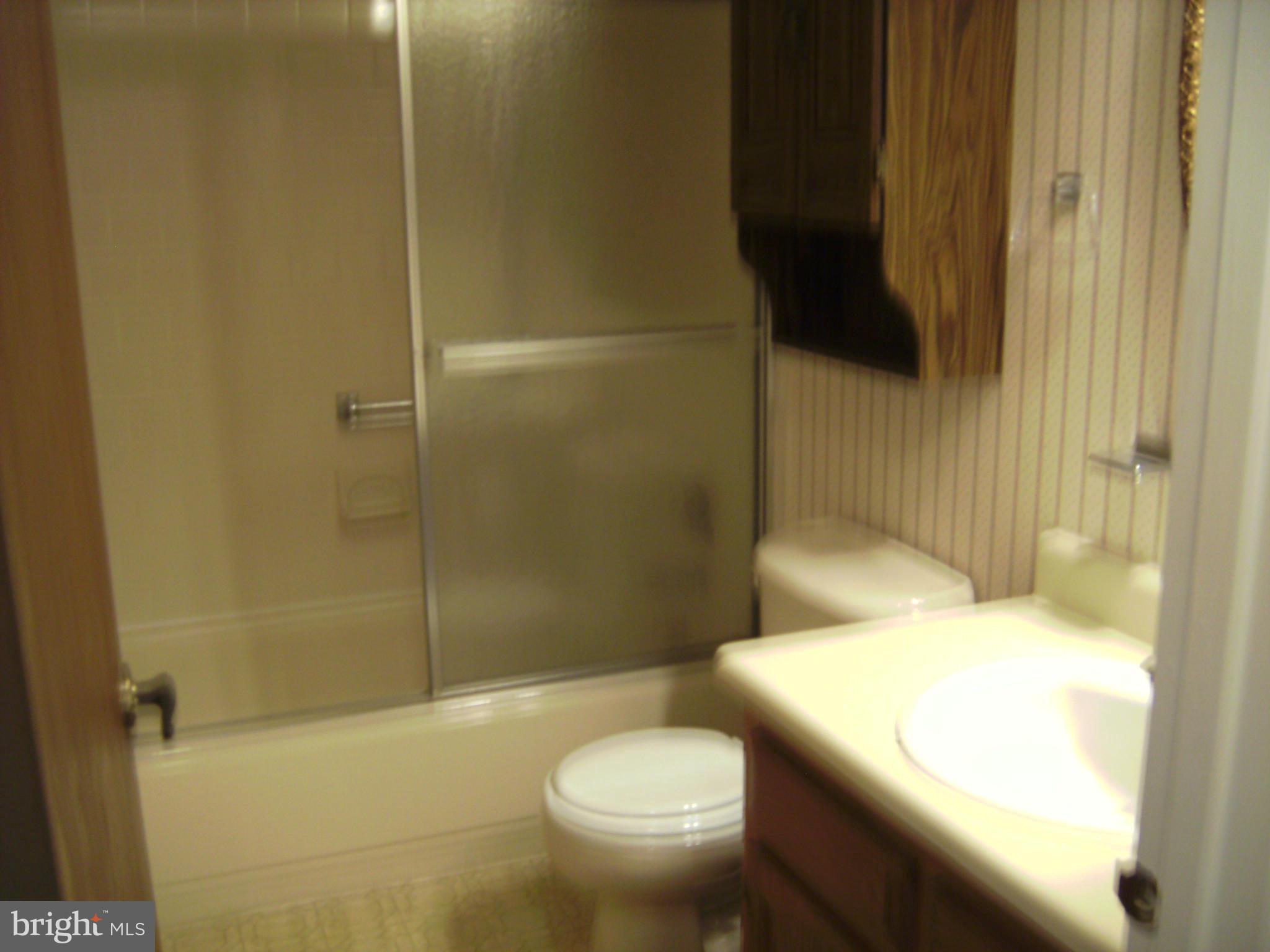 7096 Catalpa Road Frederick, MD 21703 - Photo 15 of 20 a bathroom with a sink and a toilet